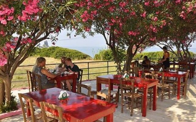 The Pink Palace Hostel