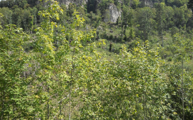 Ferienwohnung Lehmann