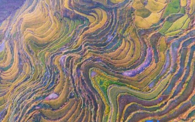 Tianzhongtian Sheying Motel