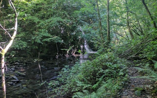 Apartamento Cabañaquinta Senderista