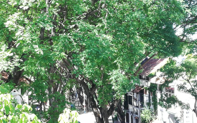 Private Room in Beautiful Home