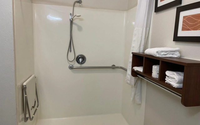 Comfort Inn Downtown - University Area