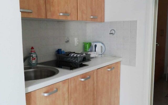Apartments Ivezic