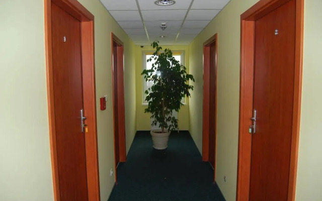 Bluszcz