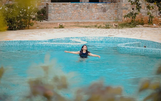 The Earth At Ranthambore