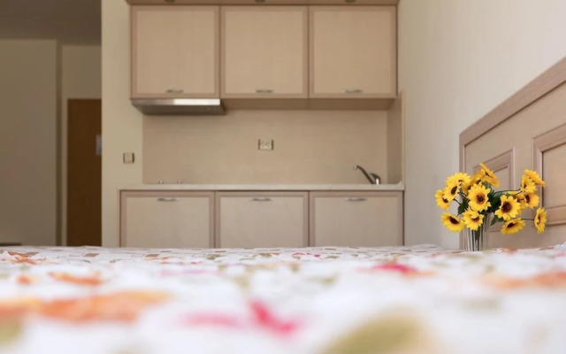 Studio with Balcony and Pool View