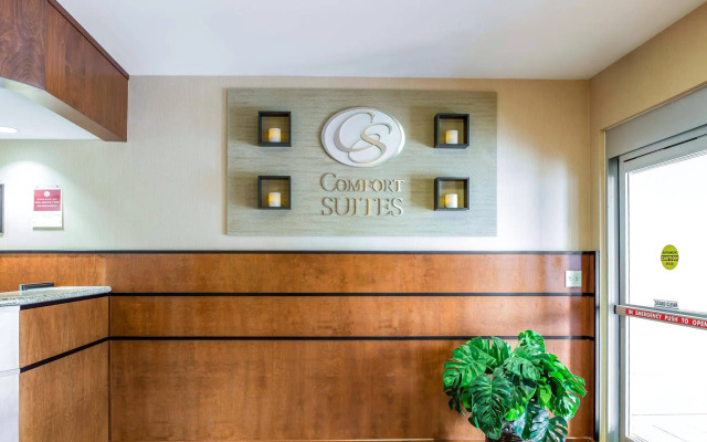 Comfort Suites North