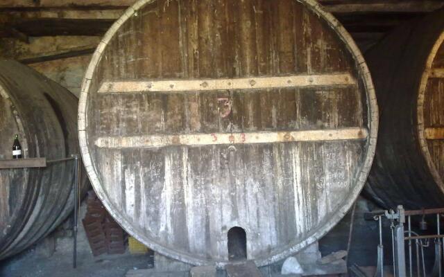 Etna Wine Azienda Agrituristica