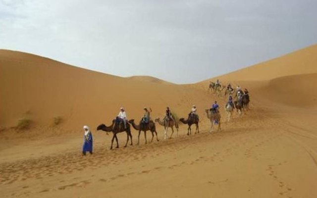 Bivouac Morocco Safari Tours