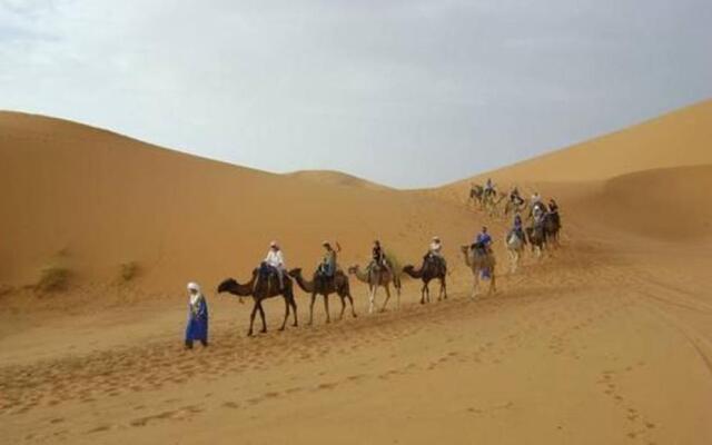 Bivouac Morocco Safari Tours