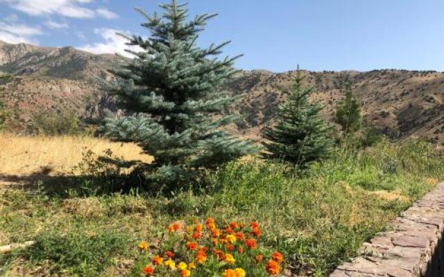 Eco Lodge in the Caucasus Wildlife Refuge