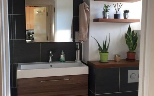 1 Bedroom Apartment in Shoreditch