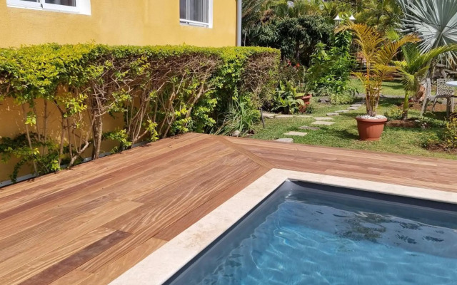 Le Palmier de la Paix