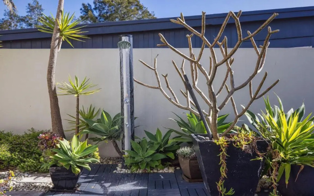 Living the Dream @ Corlette