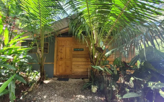 Private jungle “Loft del Rio” river access