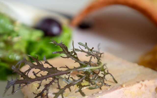 Brit Hotel Kara Sainte-Anne-d'Auray