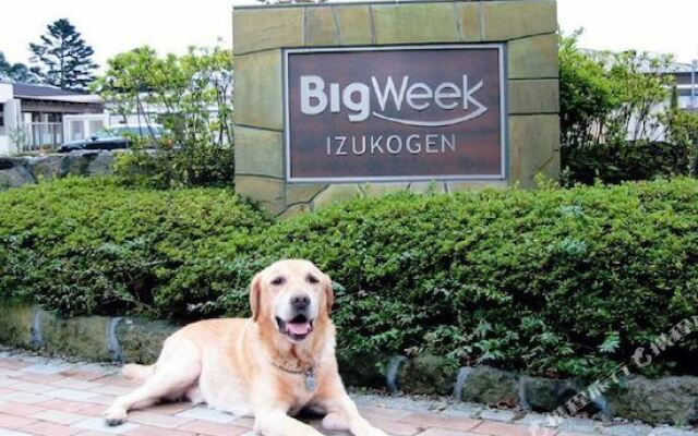 Big Week Izukogen