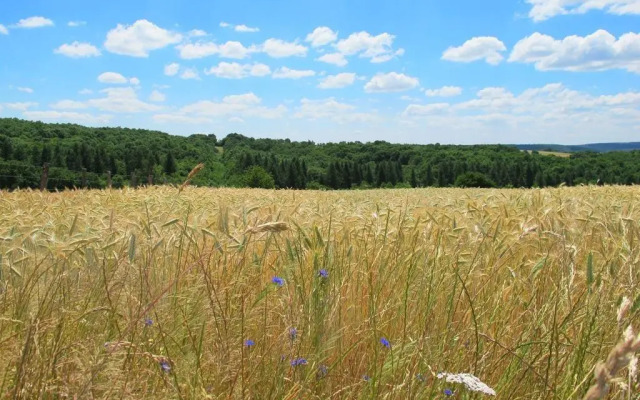 Maison du Cheval Blanc