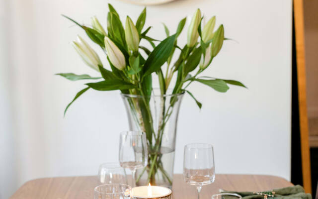 HOLT - Modern, Newly Renovated 2BR in Willits Town Center