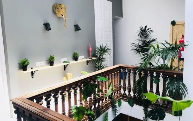 The Urban Jungle Hostel