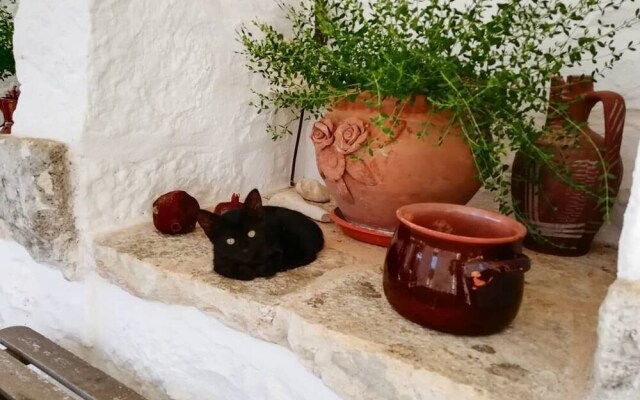 La Casa degli Uccellini Bio Agriturismo