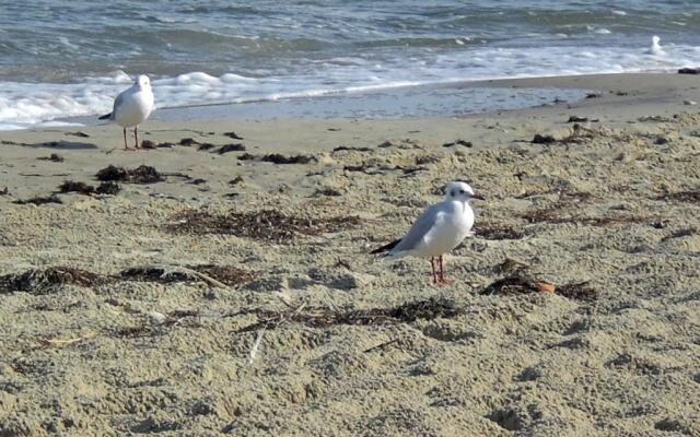 Ferienwohnung 10 im Haus Hühnergott