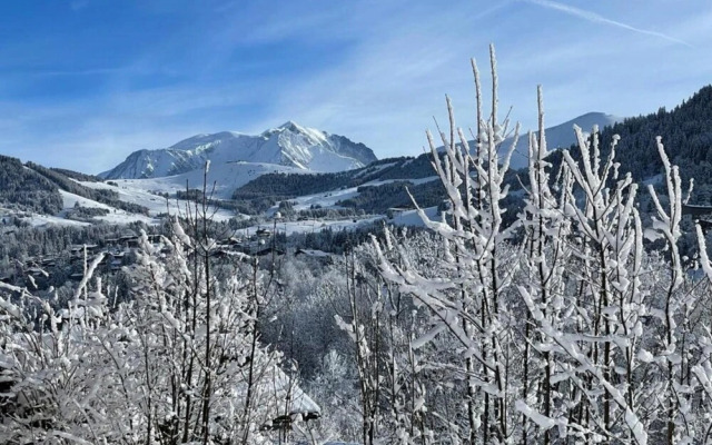 Stylish Chalet in Charming Megeve