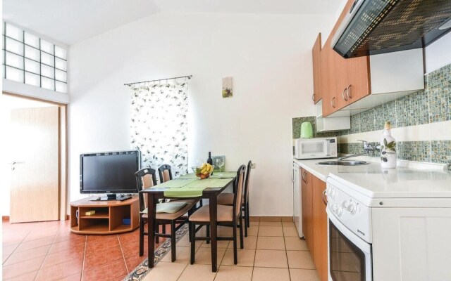 Amazing Home in Mandre With Wifi and 1 Bedrooms