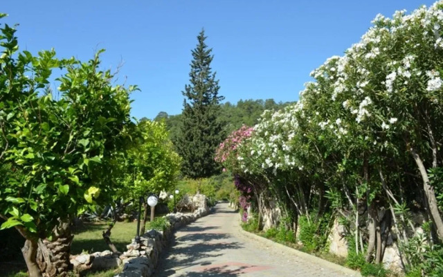 Paradise Garden Hotel