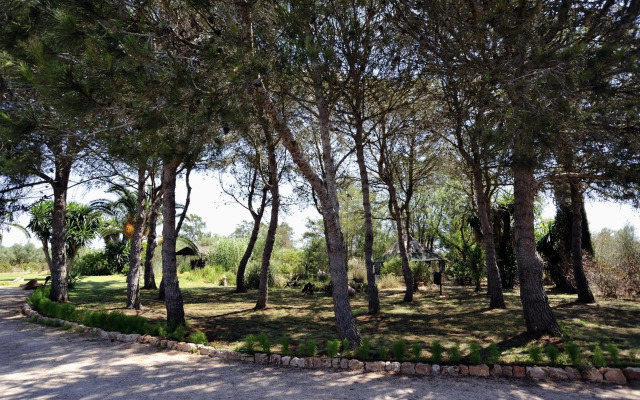 Petit Hotel Es Figueral