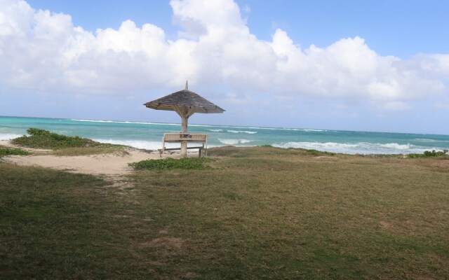 Beach Palm Villa