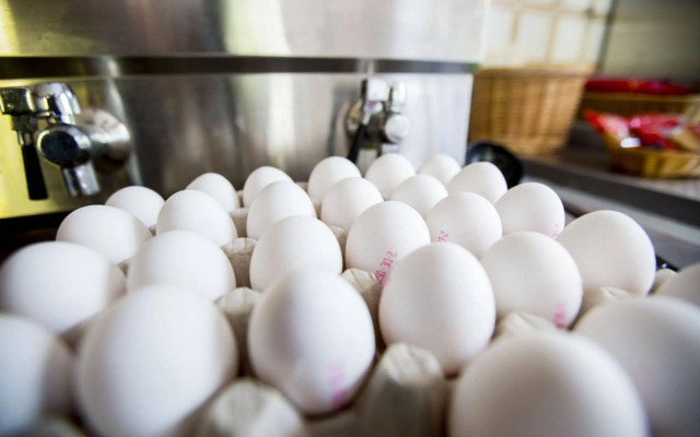 Holiday Home in Willingen Near Ski Area