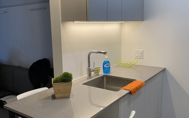 Cozy Studio's Downtown Montreal