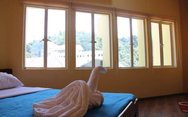 Fat Rhino Hostel