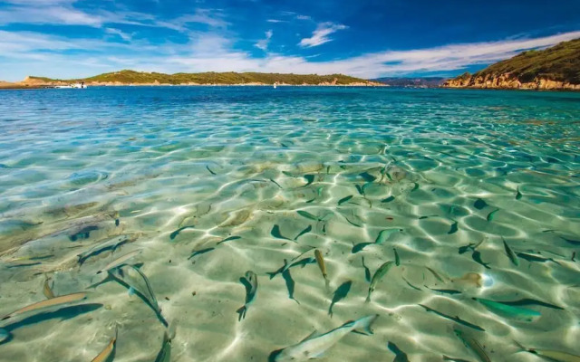 Le Stella Di Mare II