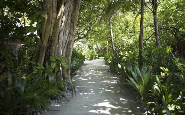 Biyadhoo Island Resort