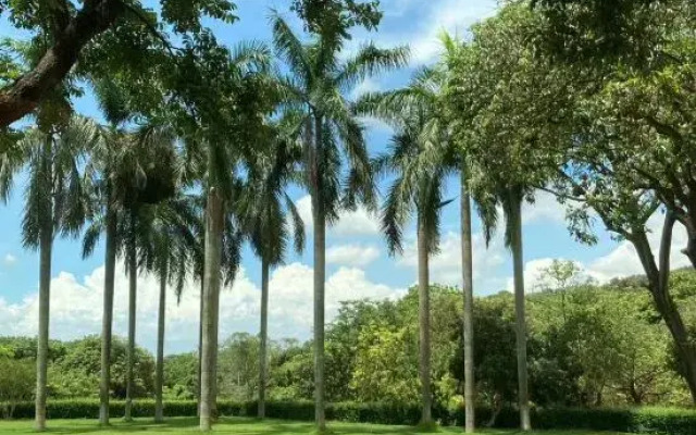 Guochahui Banshan Tea Garden Resort