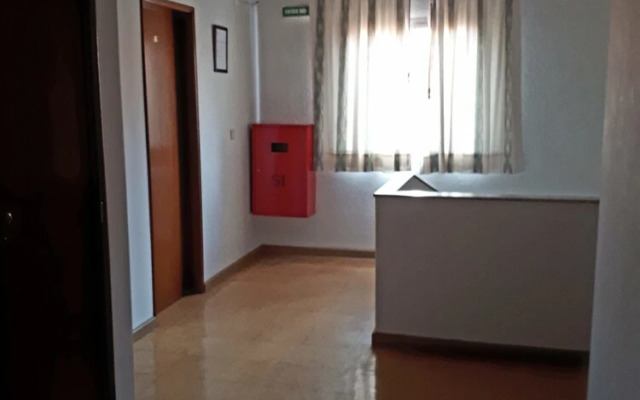 Mira Tejo