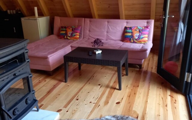 Cozy Bungalow With Private Pool Surrounded by Nature in Sapanca
