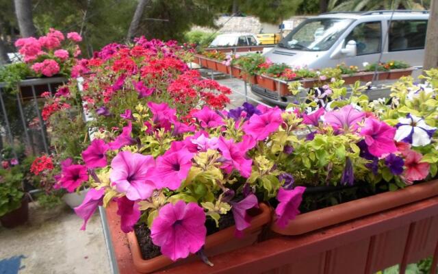 Guest House Sobra