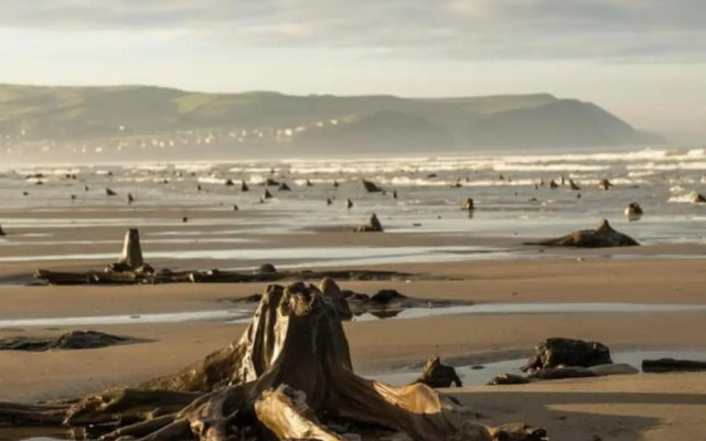 Luxurious underfloor heated Yurt with Hot tub
