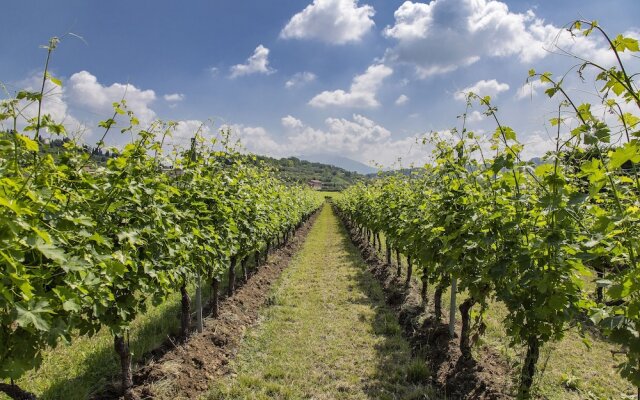 Agriturismo La Rocca