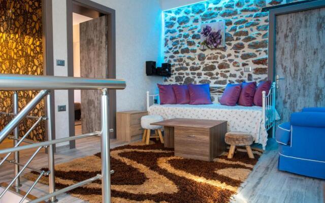 ΒΙΛΛΑ ΤΟ ΠΕΤΡΙΝΟ stone bild villa full equipment