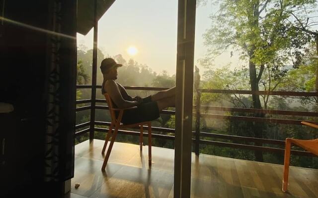 Wayand Whistling Woods