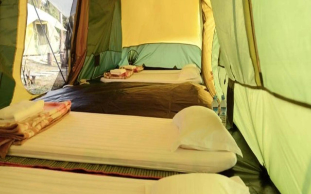 Ocean Front Campgrounds