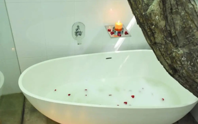 Colombo Tree House