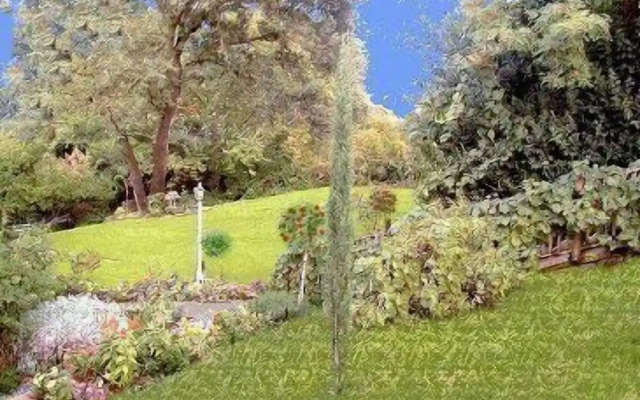 Robins Nest Bed & Breakfast