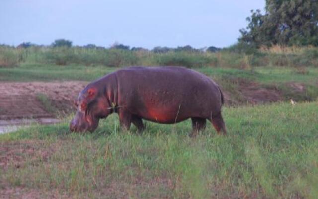 Zikomo Safari Camp