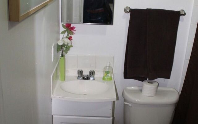 Adib Apartments - 224 Woodroffe Ave, Unit 4 (Basement)