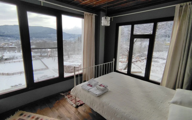 Torrhebia Dag Evi